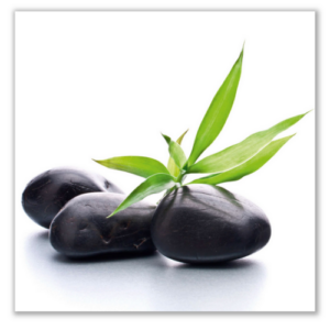 Üveg - kép infrapanel Fenix EcoSun 300 G (300 W) Képes kivitel - Stones&Plant